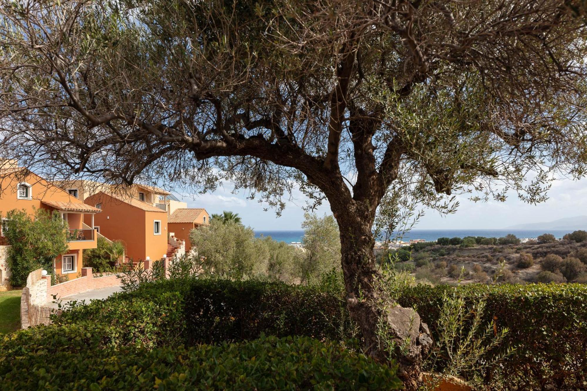 Dia Apartments Hersonissos  Exteriér fotografie